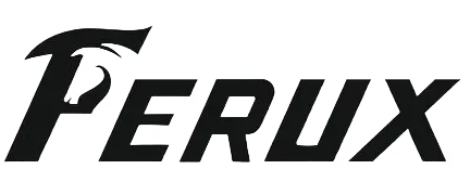 FERUX BLACK LOGO CONNECTING EUROPE